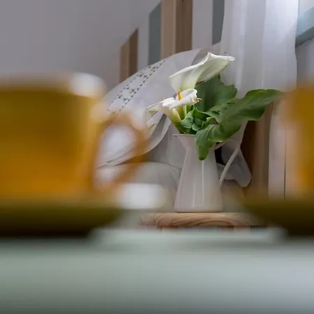 乡村民宿 Rural Casa Fontequeiroso *