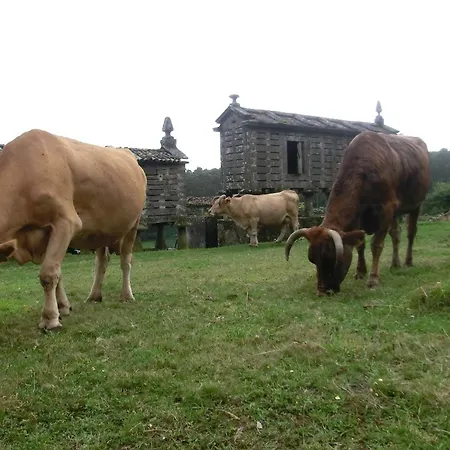 בית כפרי Rural Casa Fontequeiroso *