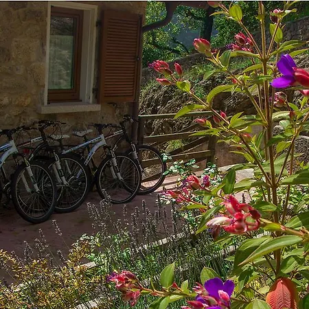 Rural Casa Fontequeiroso 乡村民宿 *