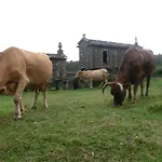 カントリーハウス Rural Casa Fontequeiroso *
