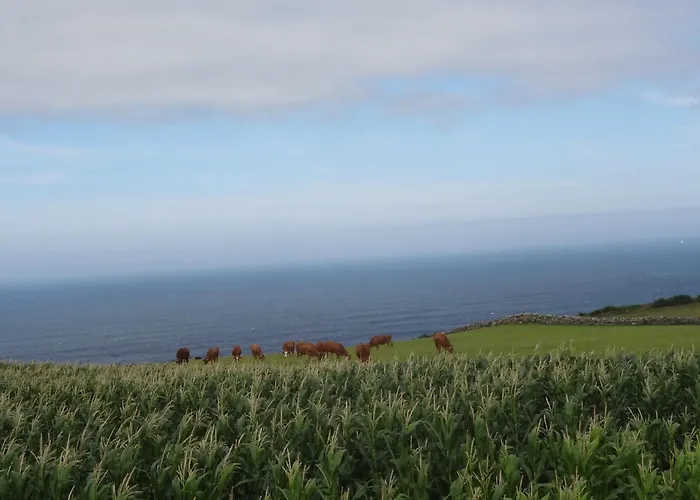 Rural Casa Fontequeiroso Casa di campagna Muxia
